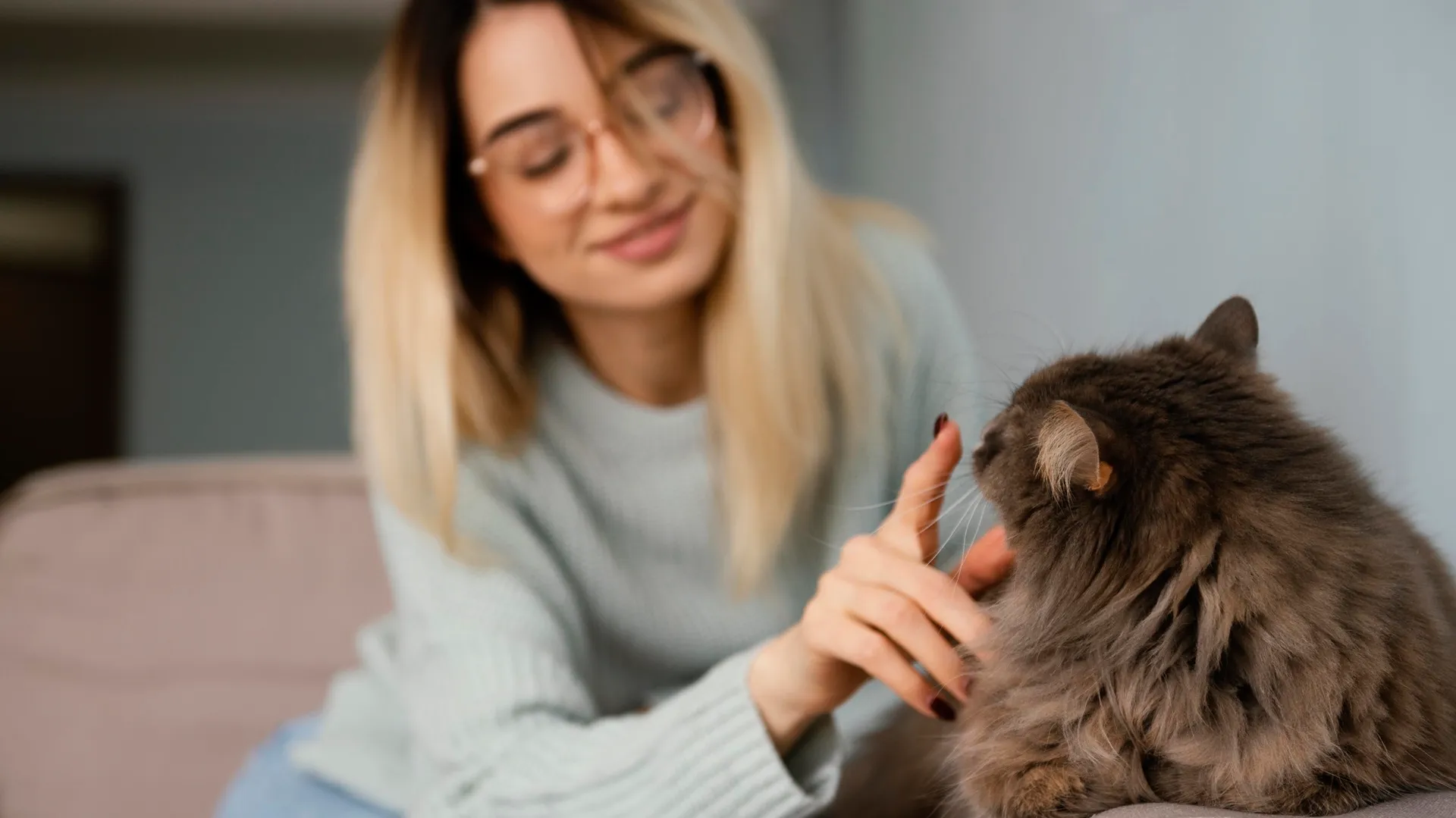 Pet care at Miami hotel