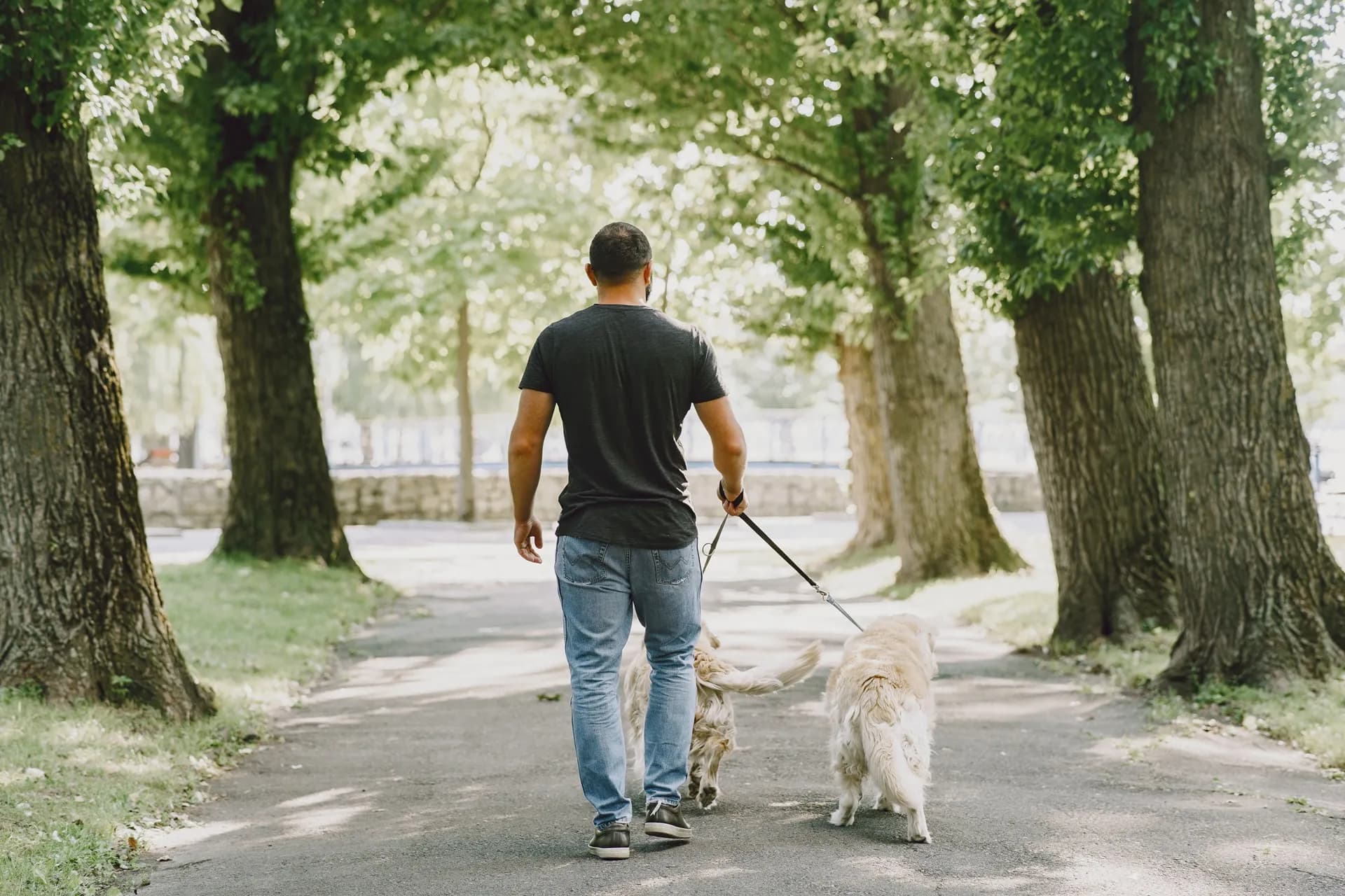 Pet sitter walking dog in Miami neighborhood